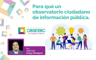 Para qué un observatorio ciudadano de información pública